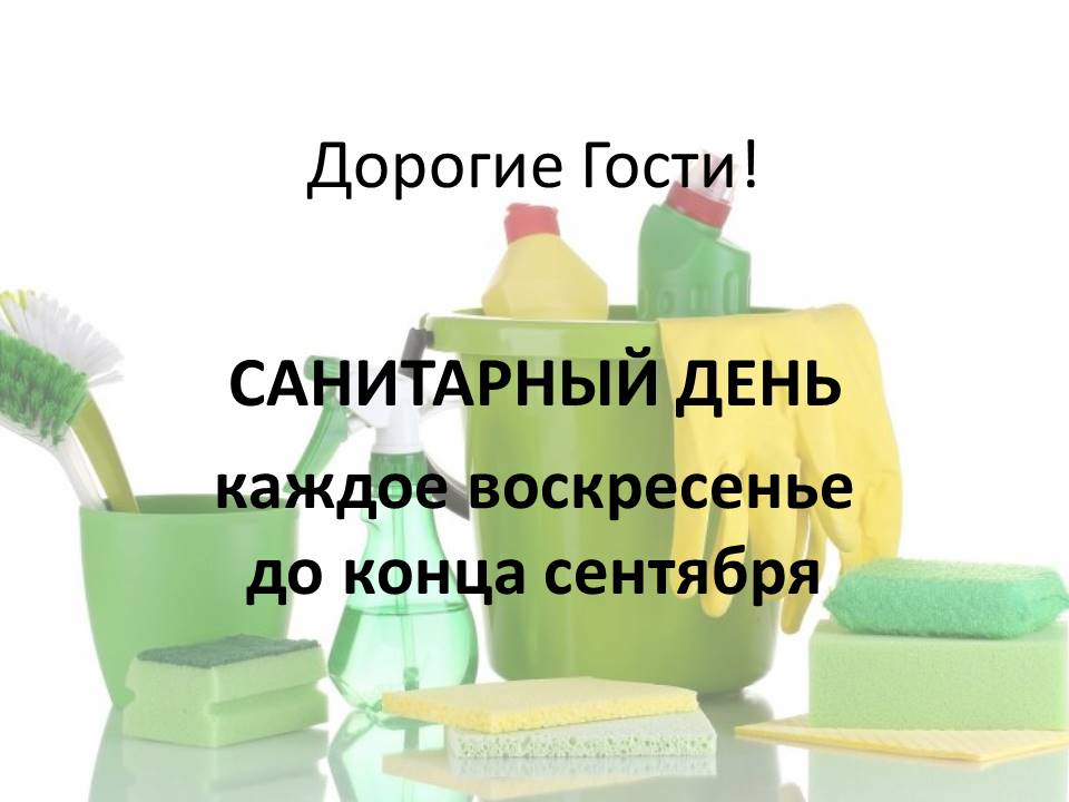 Санитарный день